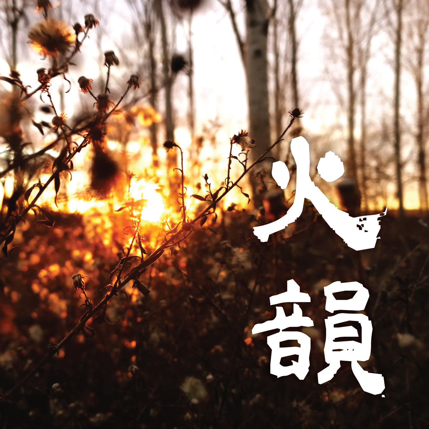 五行音樂-火＿火韻