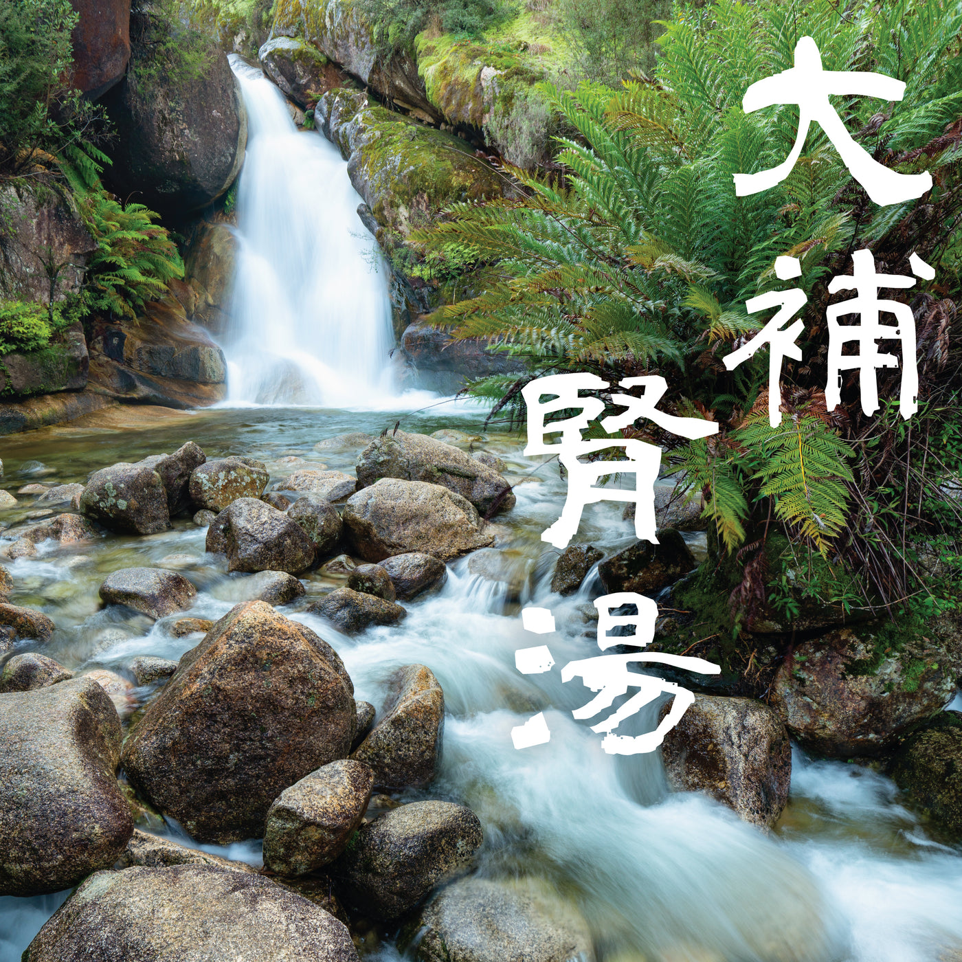 五行音樂-水＿大補腎湯